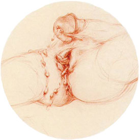 Clitoris empourprés - dessin anonyme 