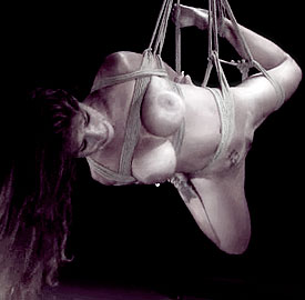 /Image/img_articles/domination_soumission/picto/subspace.jpg